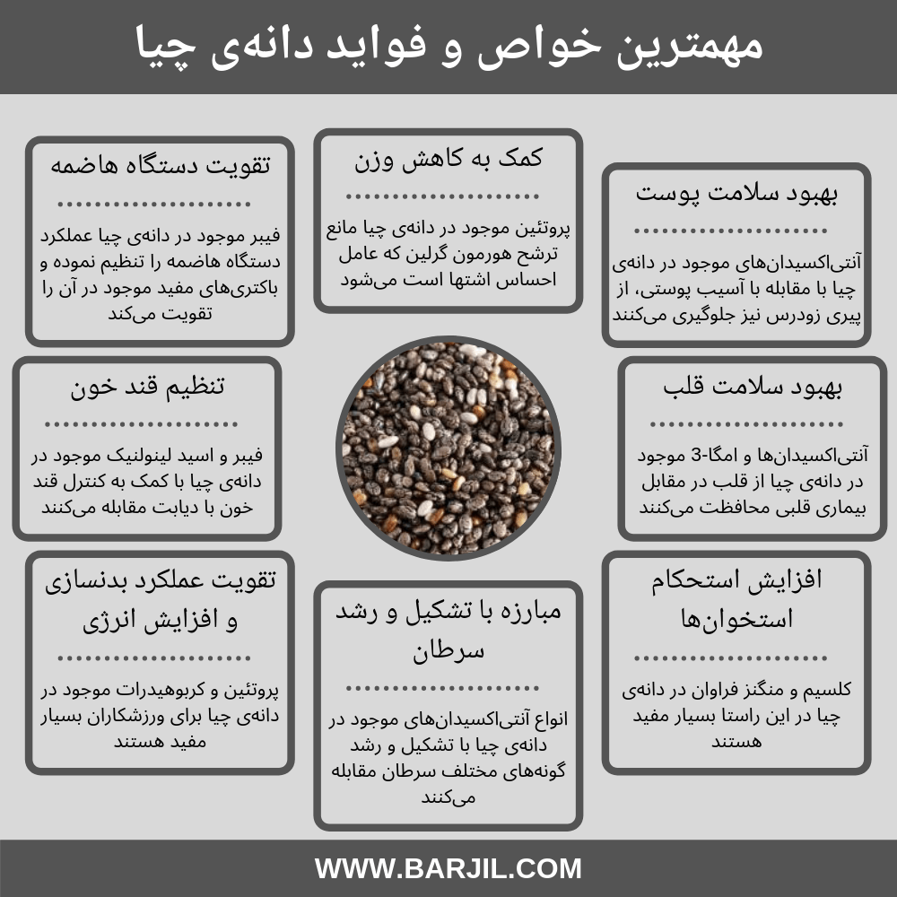 خواص دانه چیا | سرشار از امگا-۳ و پروتئین + اینفوگراف | بارجیل